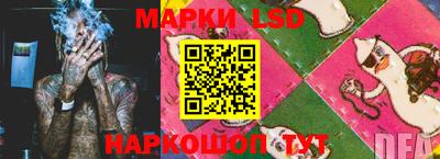прущие грибы Славгород