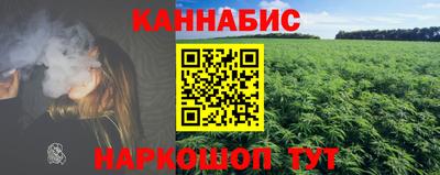 прущие грибы Славгород