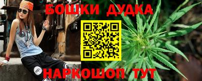 a pvp Ставрополь