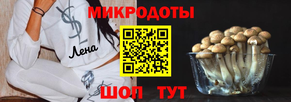 Псилоцибиновые грибы MAGIC MUSHROOMS  как найти закладки  Набережные Челны  Вход с VPN 